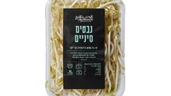 נבטים