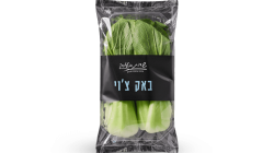 באק צ'וי